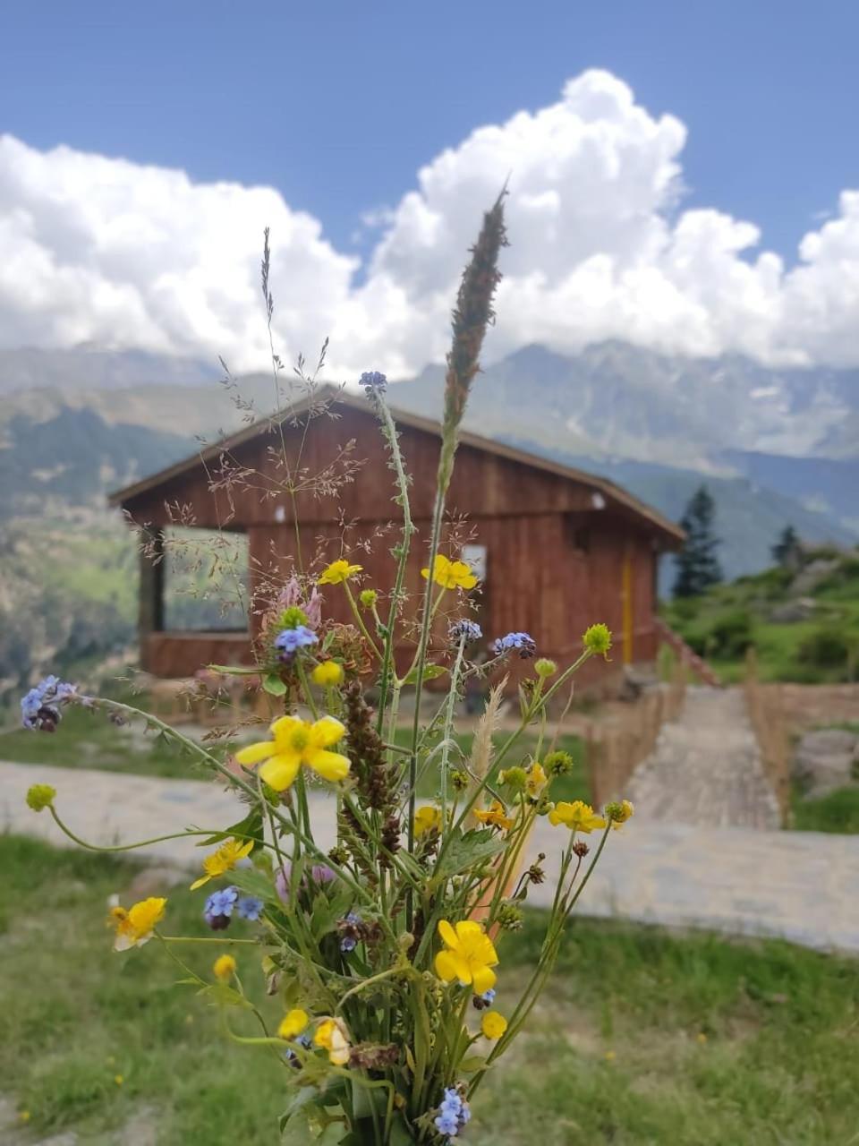 Khana Badosh Resort Kalam Exterior photo